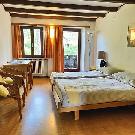 Parkhotel Emmaus - Casa Rustico Ascona Luaran gambar